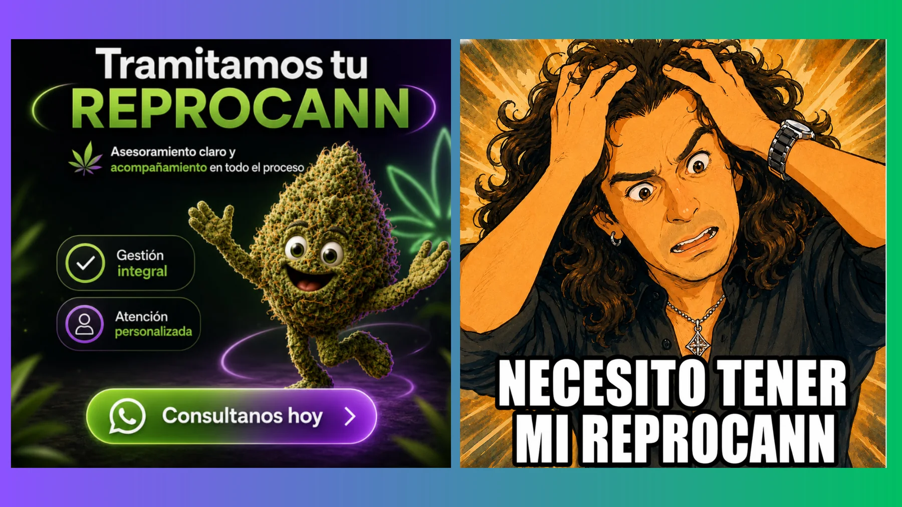 Tramitamos tu REPROCANN con asesoramiento claro y acompañamiento